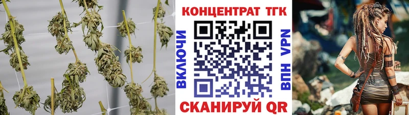 ТГК Wax Сланцы
