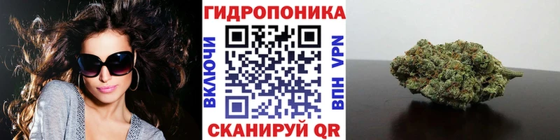 наркошоп  Сланцы  Каннабис сатива 